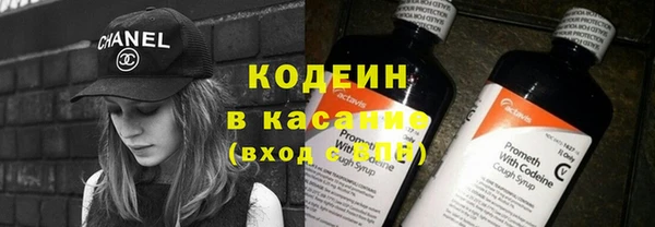 индика Абаза