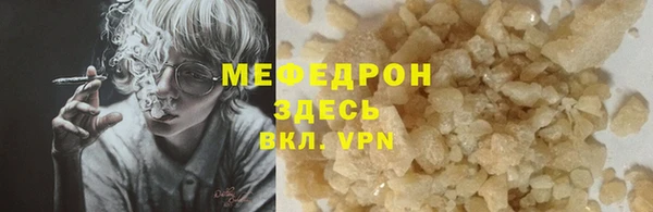 индика Абаза