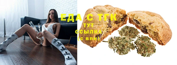 индика Абаза