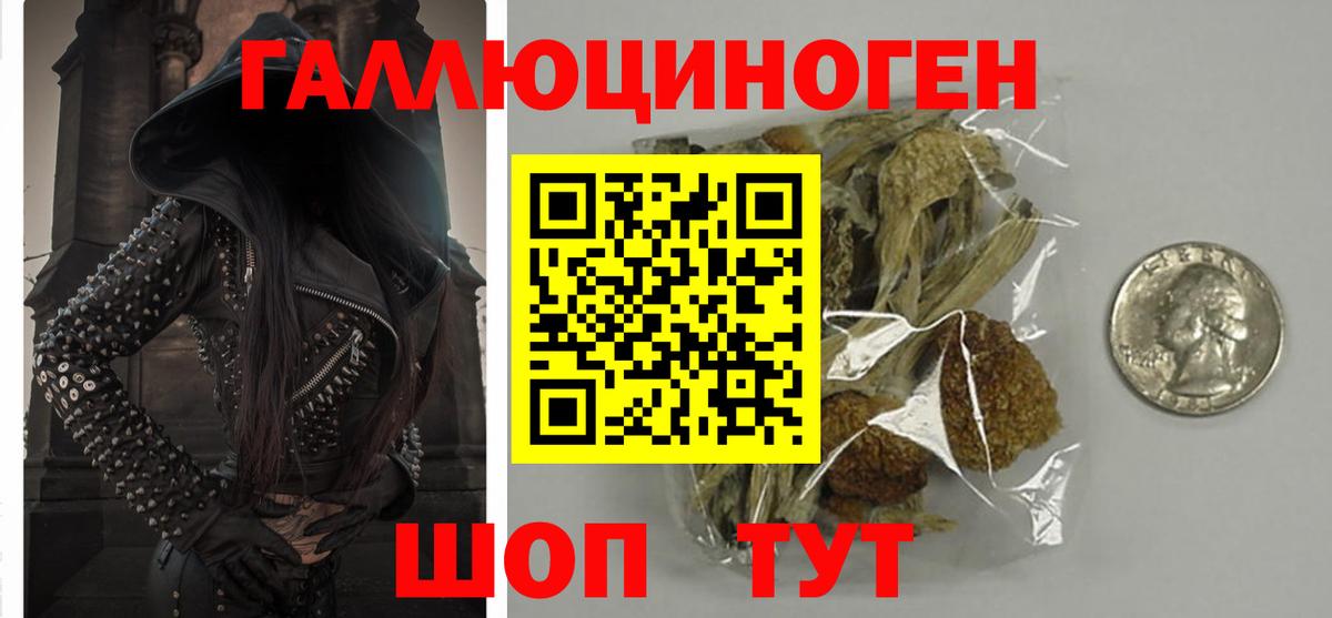 Домодедово  Галлюциногенные грибы GOLDEN TEACHER  Вход с VPN  Псилоцибиновые грибы мицелий 